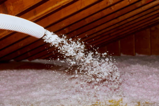 Best Insulation Replacement Services  in Bellwood, IL