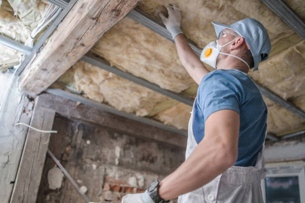Best Spray Foam Insulation  in Bellwood, IL