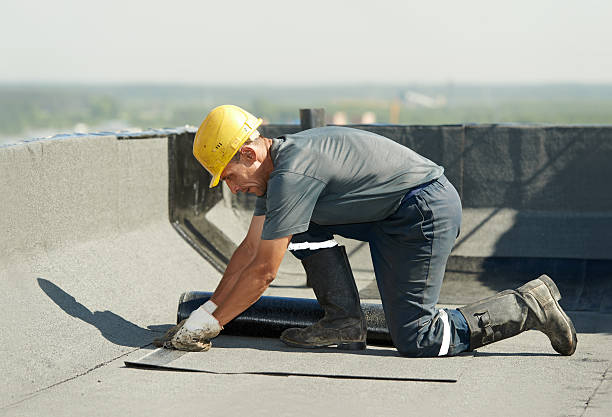 Best Commercial Insulation Contractor  in Bellwood, IL