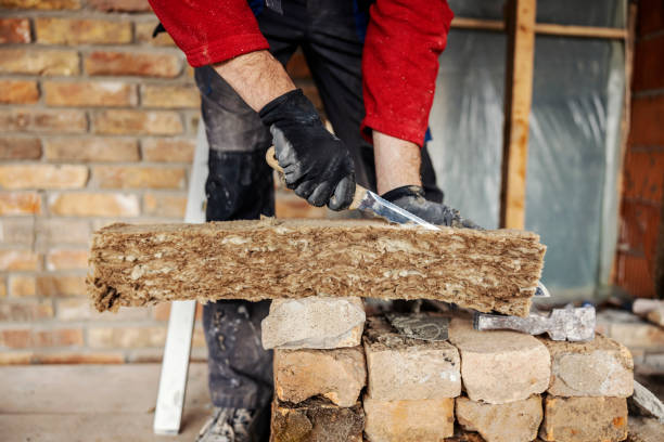 Best Local Insulation Services  in Bellwood, IL