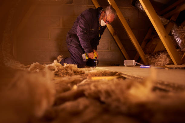 Best Residential Insulation Services  in Bellwood, IL