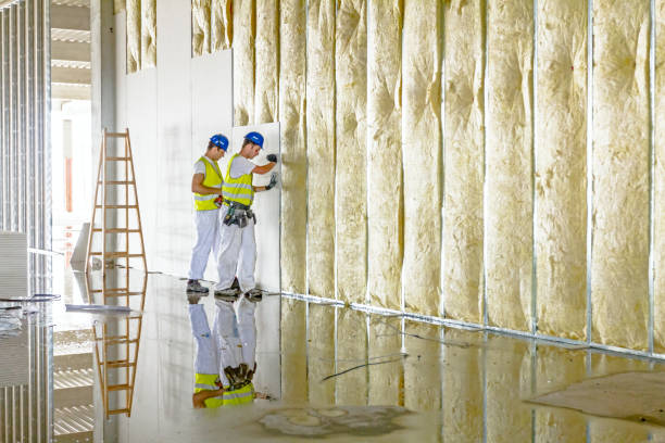 Best Crawl Space Insulation  in Bellwood, IL